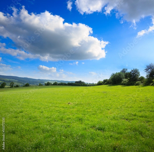 Fototapeta Spring field and blue sky with big clouds and sunlight.