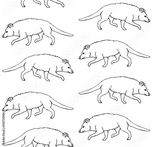 Fototapeta Vector seamless pattern of hand drawn doodle sketch opossum isolated on white background