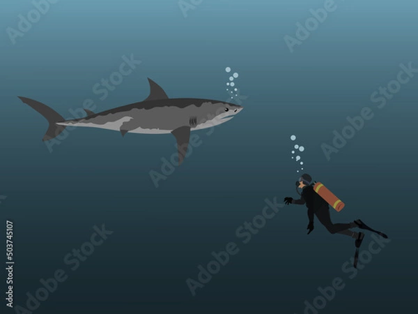 Obraz A diver is encountering a shark under the sea.