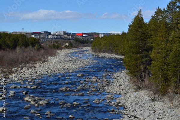Fototapeta river in spring 