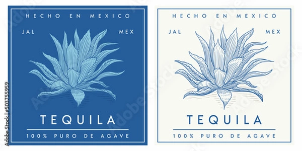 Obraz Tequila label template modern simple clean