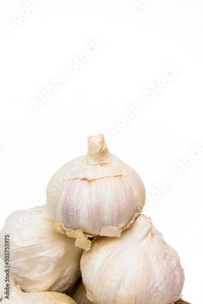 Obraz Garlic on white background