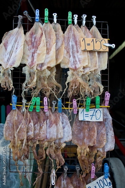 Obraz Dried squid