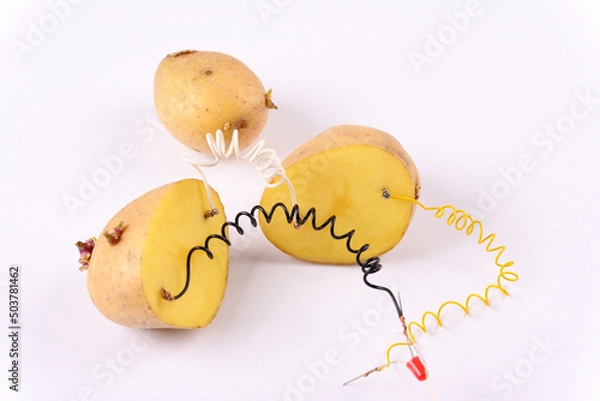 Fototapeta Potato battery on white background.  Alternative green energy generated from potatoes. 