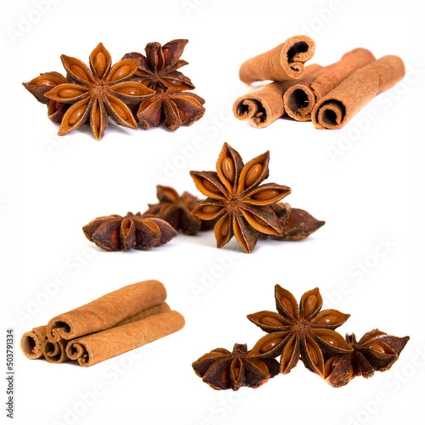 Obraz Set of cinnamon and star anise isolated on white background