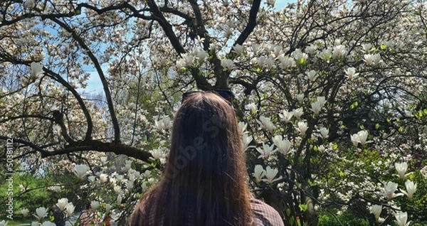 Obraz a tree in the park