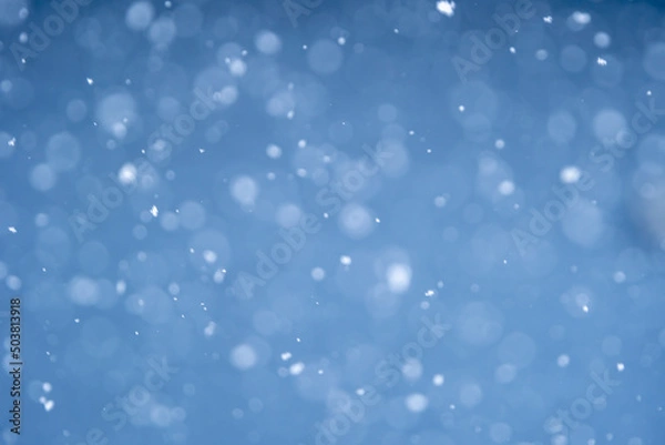 Fototapeta 雪が降っているイメージ