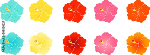 Fototapeta カラフルなハイビスカスの花のイラストセット