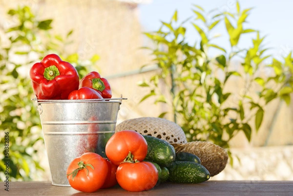 Fototapeta Помидоры и огурцы