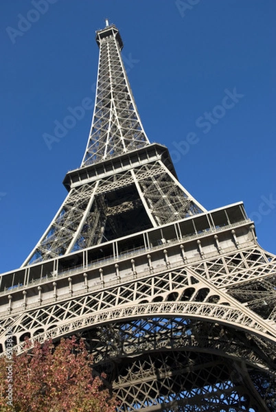 Fototapeta eiffel tower