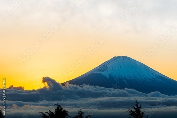 Fototapeta 夕方の富士山