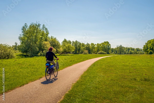 Fototapeta Woman cycles alone on a narrow cycle path in a rural area with grass, trees and bushes. It is a warm and sunny day in spring. The photo was taken near the Dutch city of Breda, North Brabant.