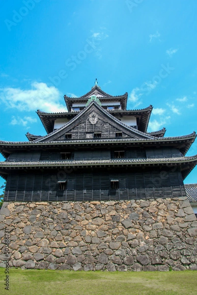 Fototapeta 松江城