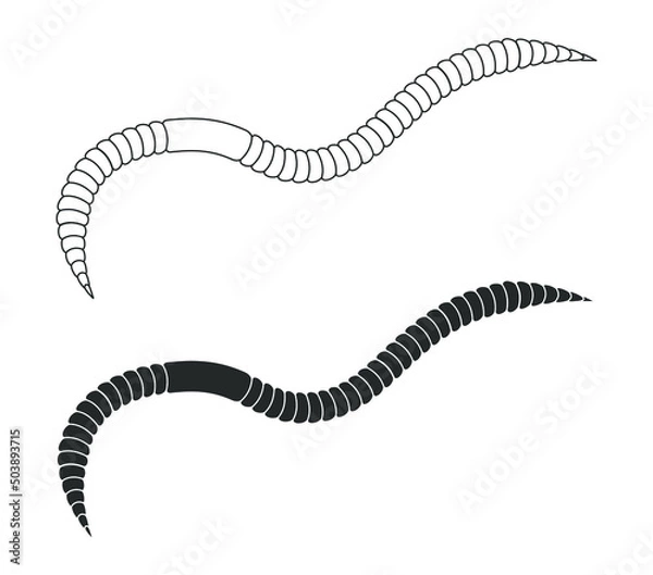 Fototapeta Worm icon. Earthworm symbol. Vector illustration image.
