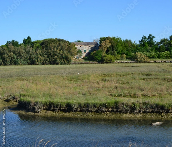 Fototapeta landscape with a river and trees