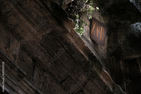 Obraz tradicional house