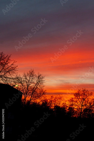 Obraz sunset in the sky