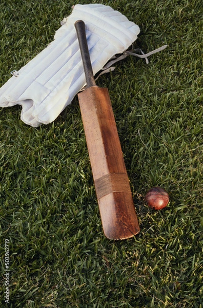 Obraz Cricket ball and bat