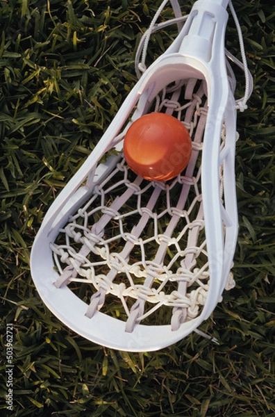 Obraz Lacrosse stick on gras