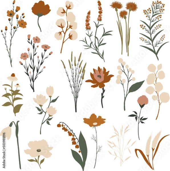 Fototapeta Set of different types of flowers and bushes