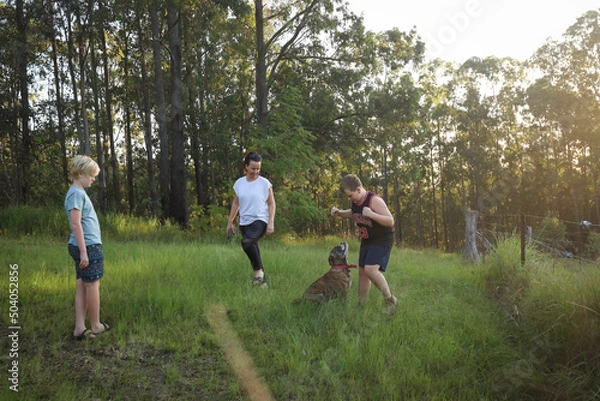 Fototapeta SIngle parent family playing in the bush with bulldog
