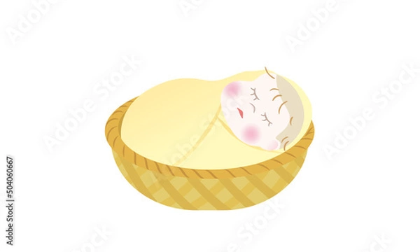 Obraz 籠の中で眠る赤ちゃん