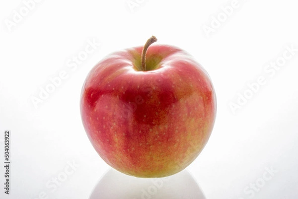 Obraz ジョナゴールド、林檎