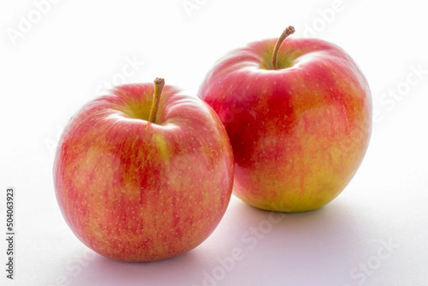Obraz ジョナゴールド、林檎