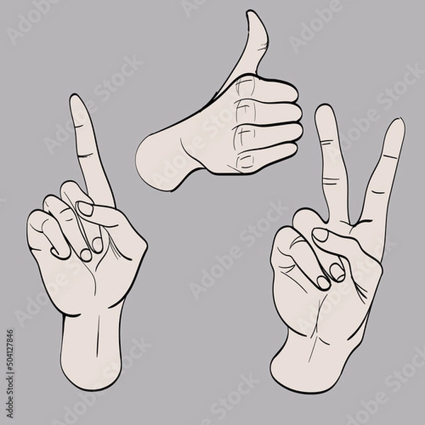Fototapeta Set of Hand gesture symbols. Hand drawn trendy vector illustration. Cartoon style. Flat design. All elements are Isolated