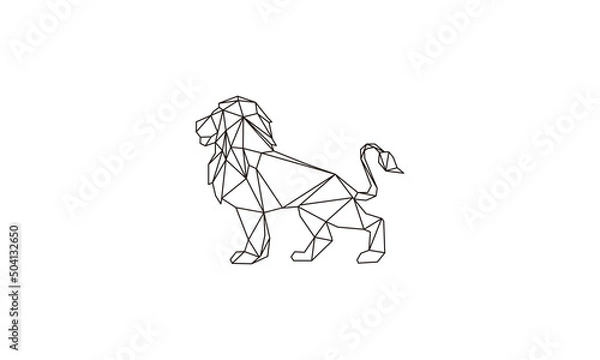 Obraz geometri lion