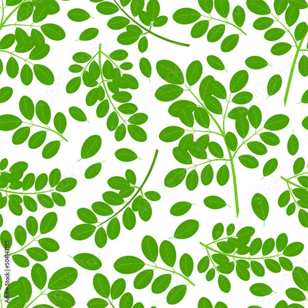 Fototapeta Moringa. Branch, leaves. Color seamless pattern, wallpaper.