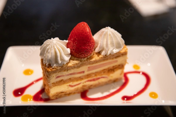 Obraz ナポレオン