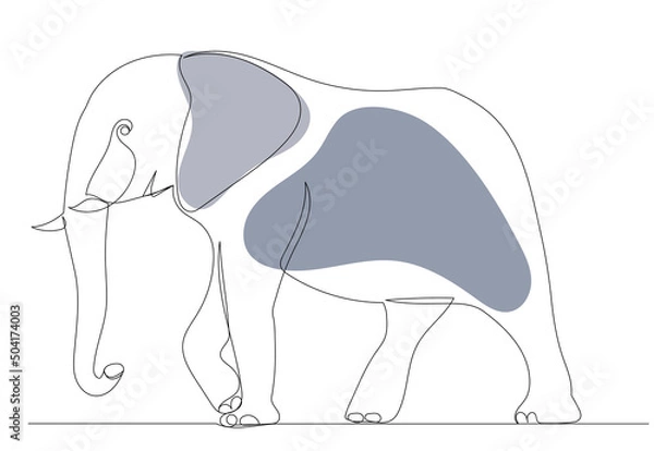 Fototapeta elephant drawing in one continuous line