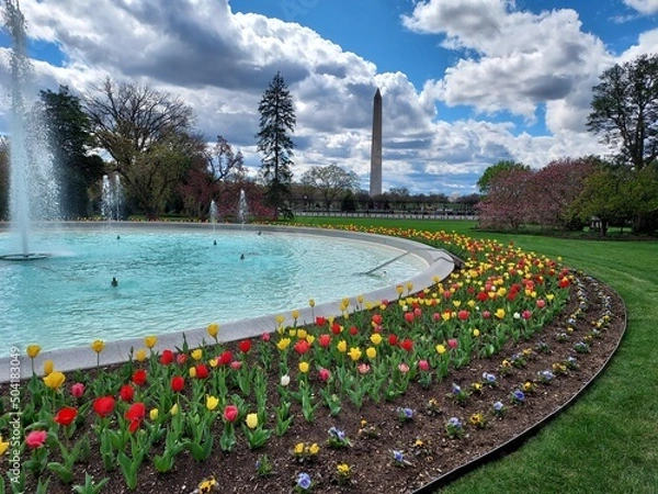Obraz fountain in the park
