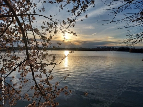 Obraz sunset over lake