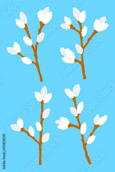 Obraz Pussy willow stem spring plant set flat isolated illustrations