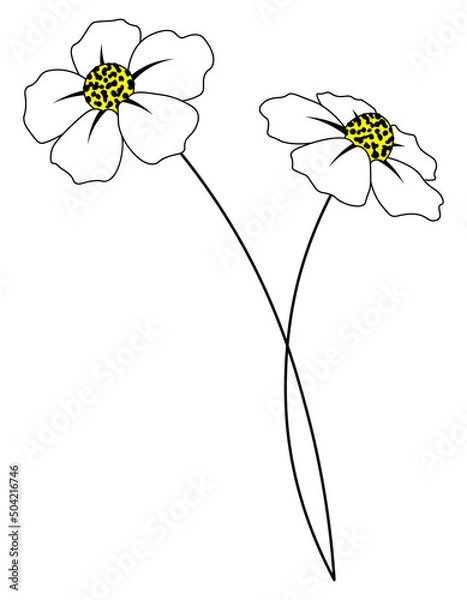 Obraz White flower on stem cartoon isolated illustrations