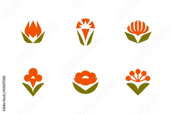 Fototapeta Floral vector logo mark template or icon. Set of elegant design elements with ornamental tulip, peony, carnation and other flowers