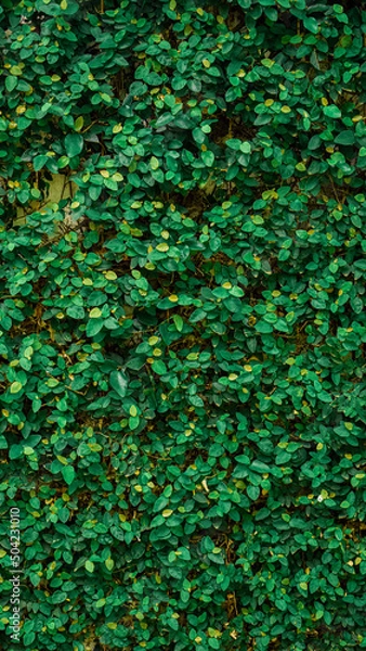 Obraz abstract background