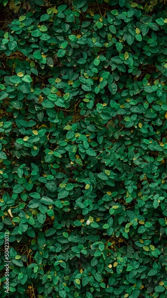 Obraz abstract background