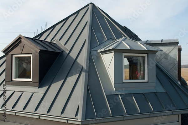 Obraz Modern vertical roof windows