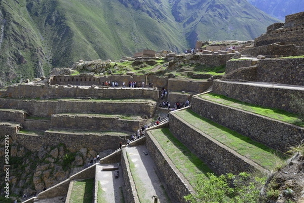 Fototapeta Stone terraces with seedlings in Inca ruins of Ollantaytambo, Peru. Ancient building in Sacred Valley in Peruvian Andes