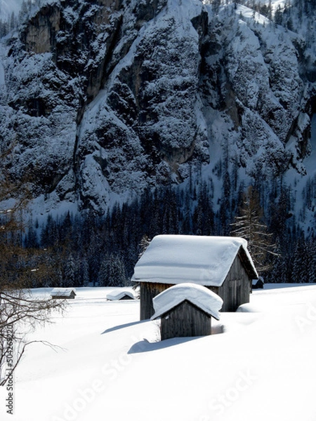 Obraz heavy snowfall