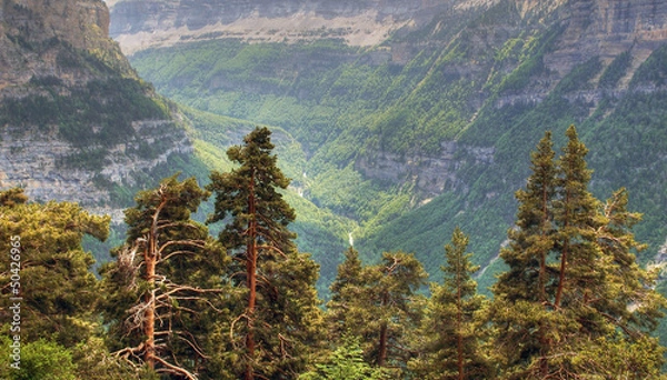 Fototapeta valle de ordesa