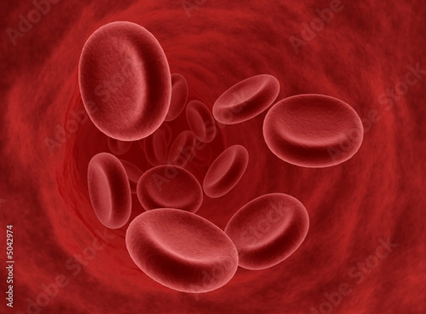 Obraz Blood Cells