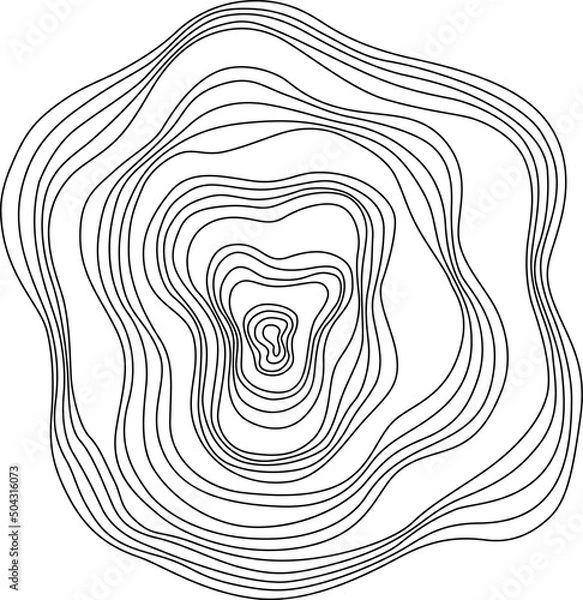 Obraz Abstract tree rings. Vector topographic map concept. Seamless background. Thin black lines on white