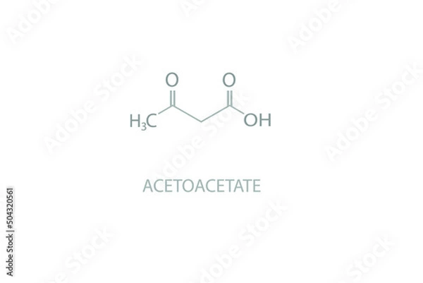 Fototapeta Acetoacetate molecular skeletal chemical formula.	