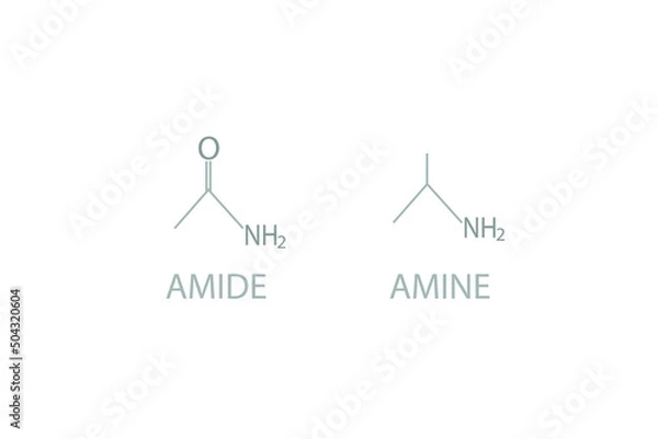 Fototapeta Amide and amine molecular skeletal chemical formula.	