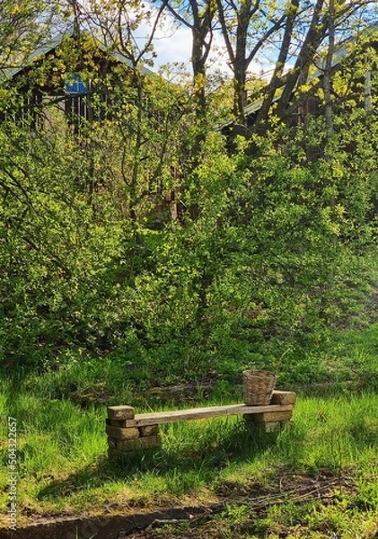 Fototapeta bench in the forest