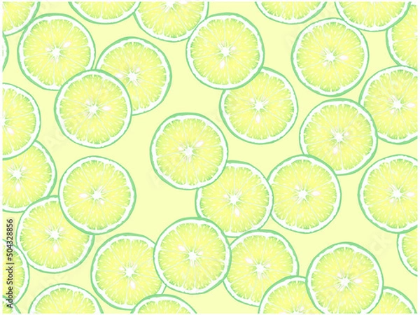 Obraz ライムスライスの背景②ランダム_白背景